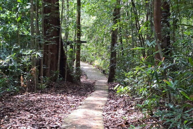 Sinharaja Rainforest Trip - The 3-hour loop inside Sinharaja reserve: pace and animal odds