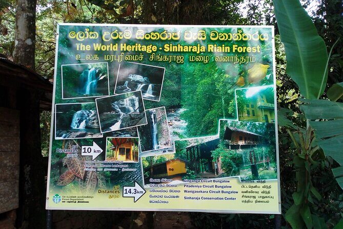 Sinharaja Rainforest & Udawalawe Safari - 2 Days, All Inclusive - All inclusive value check: is $340 a smart deal?