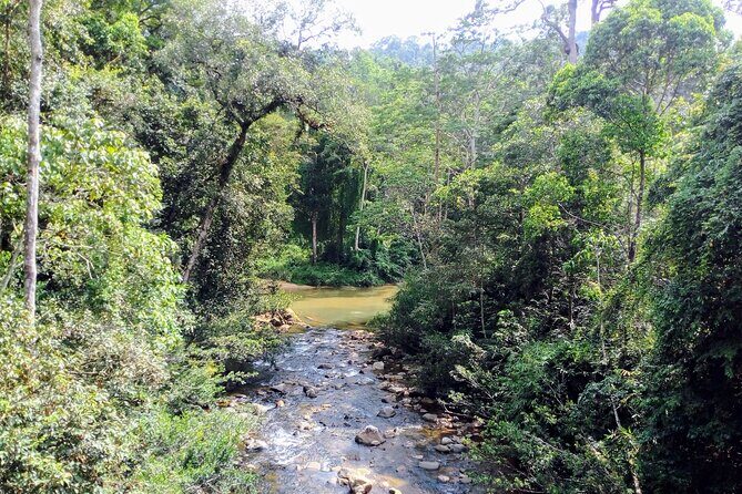 Sinharaja Rainforest & Udawalawe Safari - 2 Days, All Inclusive - Who this tour suits best (and who might want a different plan)
