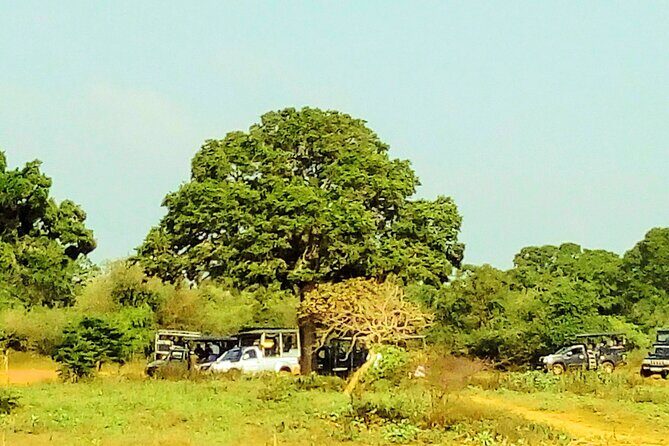 Sinharaja Rainforest & Udawalawe Safari - 2 Days, All Inclusive - The in-between stops: Galle Dutch Fort, Polhena Beach, and quick scenery breaks