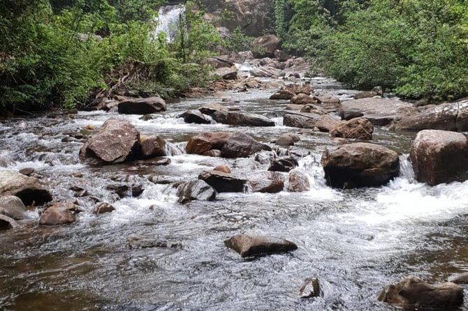 Sinharaja Short tour with 5 waterfalls tour or Adventure tour - Stop 1: Forest Entrance Time With Conservation Center, Hanging Bridge, and Waterfalls