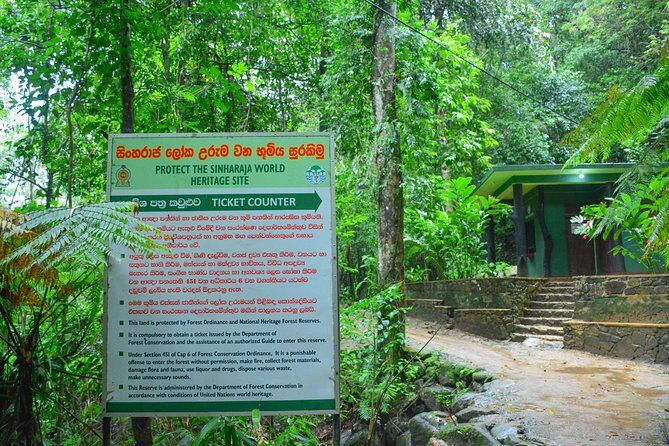 Sinharaja Short tour with 5 waterfalls tour or Adventure tour - Stop 2: Sinharaja Reserve Walk With More Species Chances and Second Waterfall Time