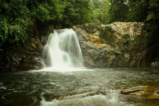 Sinharaja Short tour with 5 waterfalls tour or Adventure tour - Waterfalls, Swimming, and Natural Fish Therapy