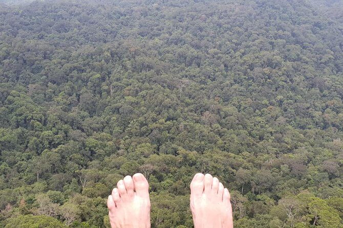 Sinharaja Short tour with 5 waterfalls tour or Adventure tour - Gear, Pace, Weather, and the Real-World Leeches Factor