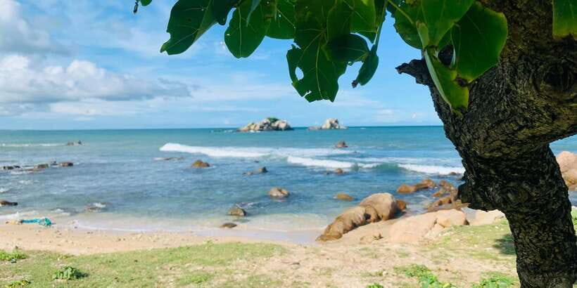 Snorkeling in Trincomalee - Quick take: what makes this Trincomalee snorkeling trip tick