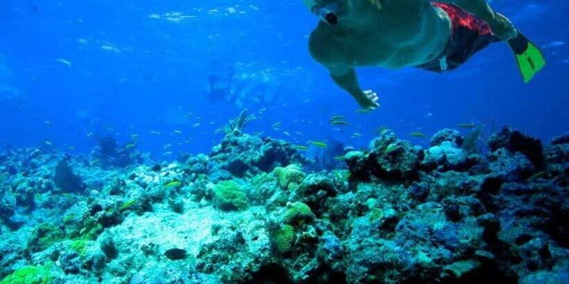 Snorkeling in Trincomalee - Price and value: is $57 actually a good deal?