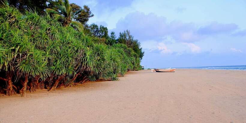 Snorkeling in Trincomalee - When to go: peak season and practical expectations