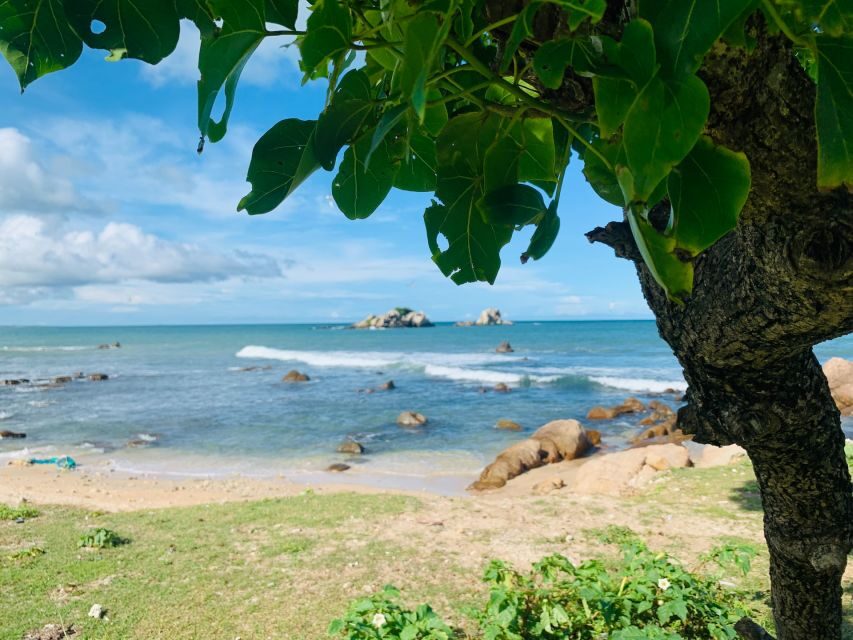Snorkeling in Trincomalee - Who should book this snorkeling experience in Trincomalee?