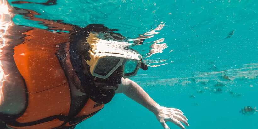 Snorkeling in Trincomalee - The 2-hour rhythm: how the trip usually flows