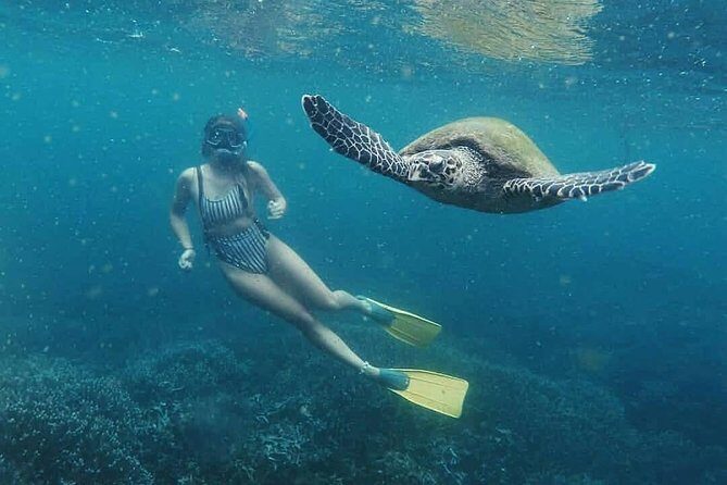 Snorkeling in Unawatuna - Key Things I’d Pin to the Top