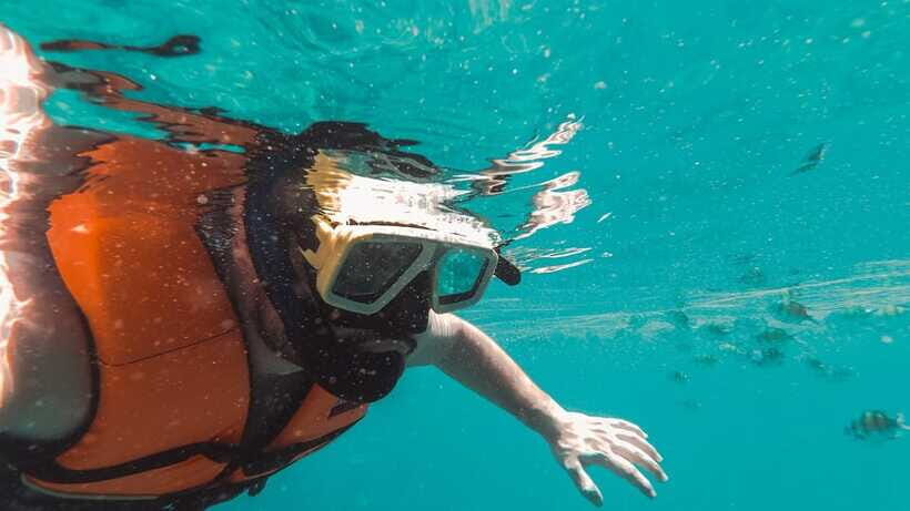 Snorkeling in Unawatuna - Unawatuna Timing: When October to May Makes Sense