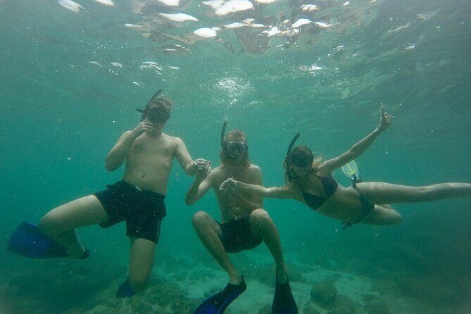 Snorkeling On Beautiful Rock Island - Unawatuna by Boat - Rock Island Snorkeling in Unawatuna Bay: what you’re really paying for