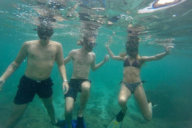 Snorkeling On Beautiful Rock Island - Unawatuna by Boat - Meeting Point on Devala Road near Thilak Restaurant