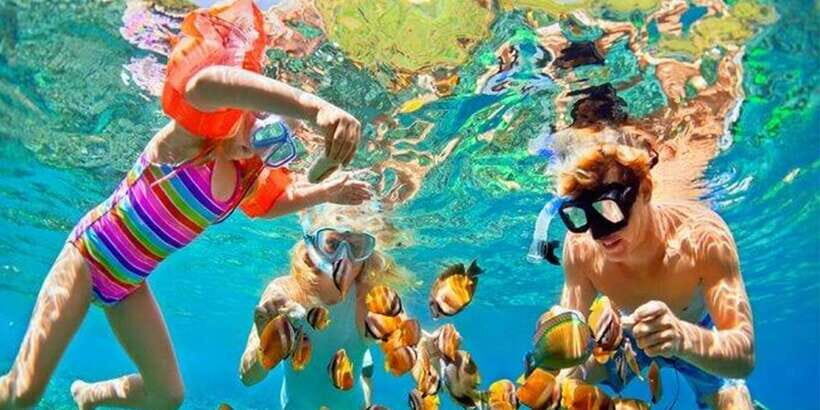 Snorkeling Trip from Polhena Beach, Matara, Sri Lanka - Key things to know before you go