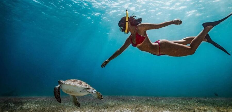 Snorkeling Trip from Polhena Beach, Matara, Sri Lanka - FAQ