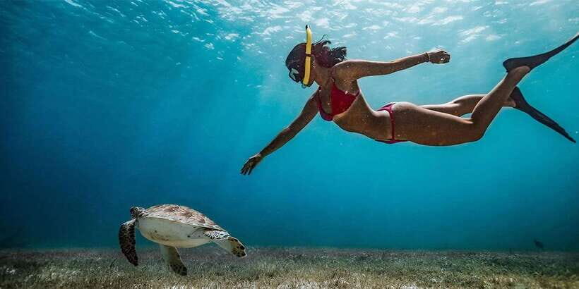 Snorkeling Trip from Polhena Beach, Matara, Sri Lanka - Polhena Beach to Underwater Paradise: Where the trip actually starts
