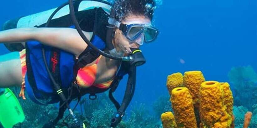 Snorkeling Trip from Polhena Beach, Matara, Sri Lanka - What you’re here to see: turtles, reef fish, and the “wheals” mention
