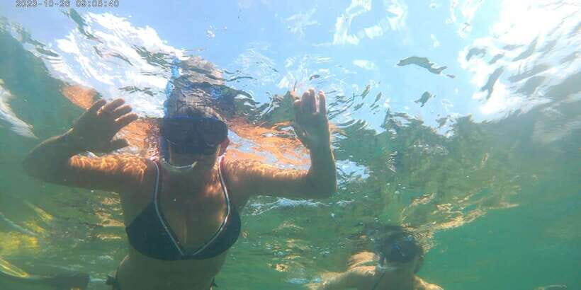 Snorkeling Trip from Polhena Beach, Matara, Sri Lanka - Should you book Snorkeling Mirissa from Polhena Beach?