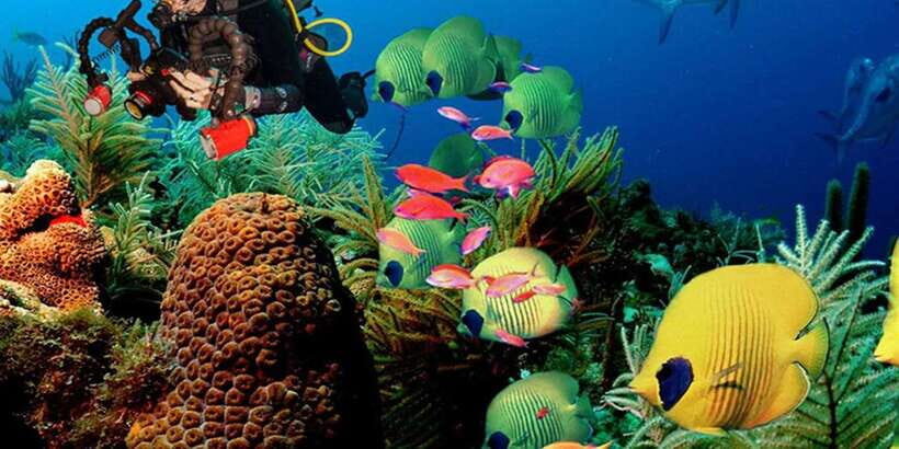 Snorkeling Trip from Polhena Beach, Matara, Sri Lanka - The safety gear focus (and why it changes the whole experience)