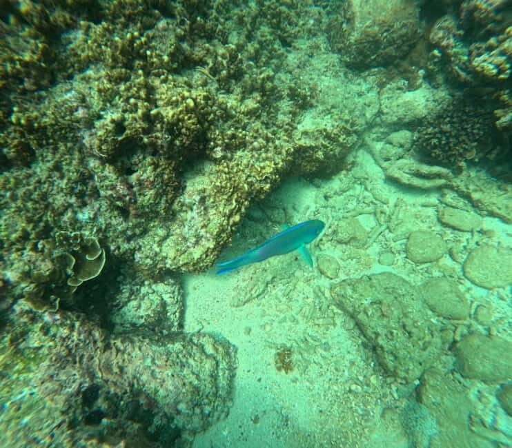 Snorkeling Trip To Angel Rock - Key Things I’d Plan Around