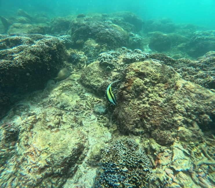 Snorkeling Trip To Angel Rock - The Speedboat Ride and Timing That Shapes Your Snorkel