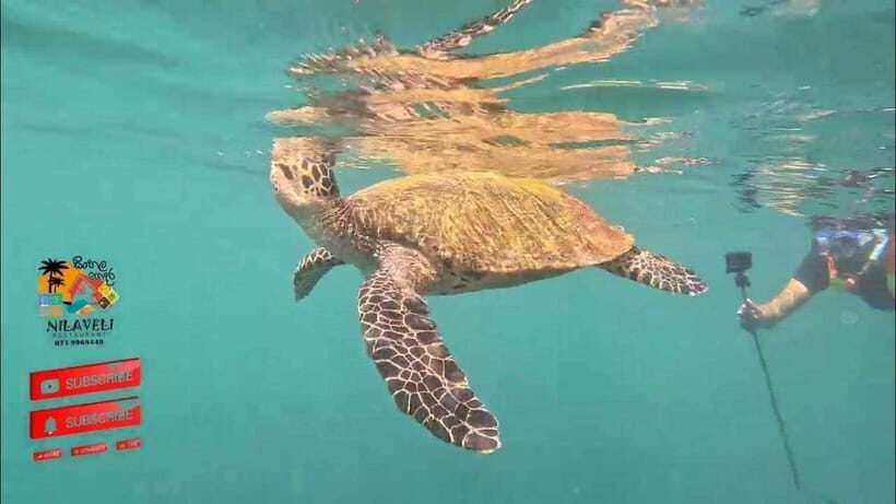 Snorkeling Trip To Pigeon Island - Key things that make this snorkeling trip worth your attention