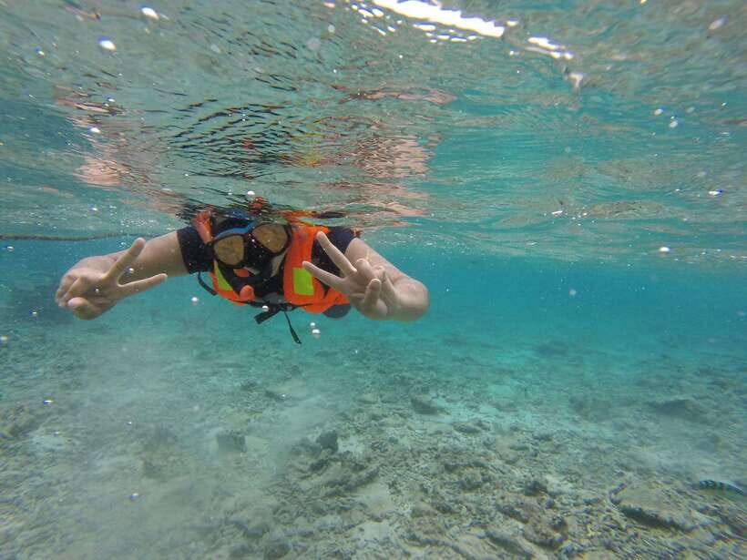 Snorkeling Trip To Pigeon Island - What you might see: turtles, blacktip reef sharks, and reef fish