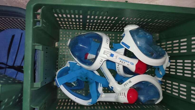 Snorkeling Trip To Pigeon Island - Season and sea conditions: why October to March needs extra attention