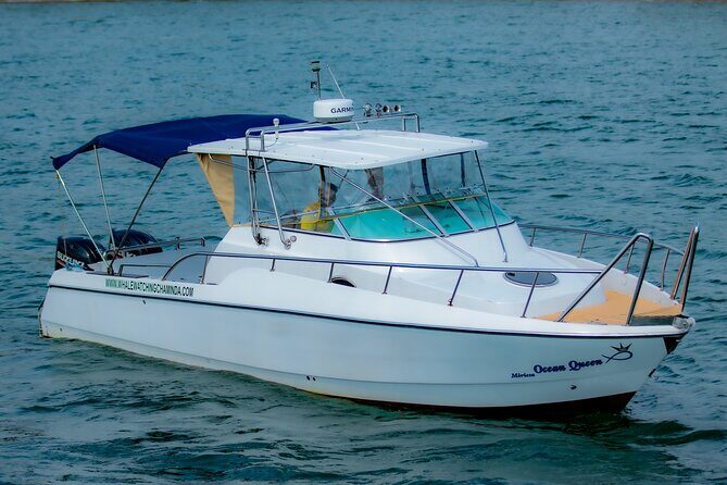 Sports Boat- Private Whale Watching Trip( free breakfast & paid pick-up) - Key highlights you’ll care about