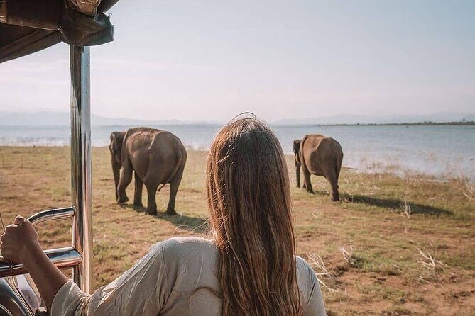 Sri Lanka 03 night 04 days budget tour package - Meals, Tickets, and Extra Costs: Don’t Let the Budget Surprise You