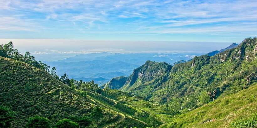 Sri Lanka: 2-Day wildlife tour; rainforest and National park - Overnight in the Udawalawe area: simple stop, convenient location