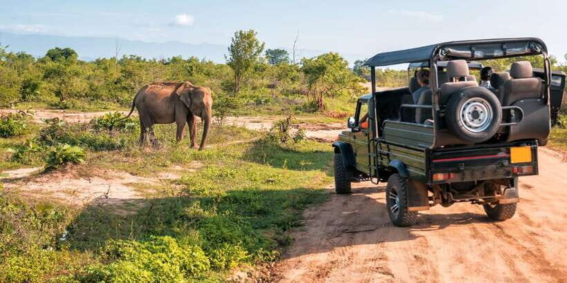Sri Lanka: 2-Day wildlife tour; rainforest and National park - Day 2 starts with the train to Ella and Nuwara Eliya