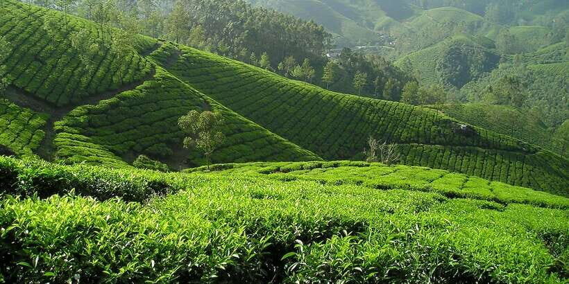 Sri Lanka: 2-Day wildlife tour; rainforest and National park - Price and value: what $350 really covers (and what it doesn’t)