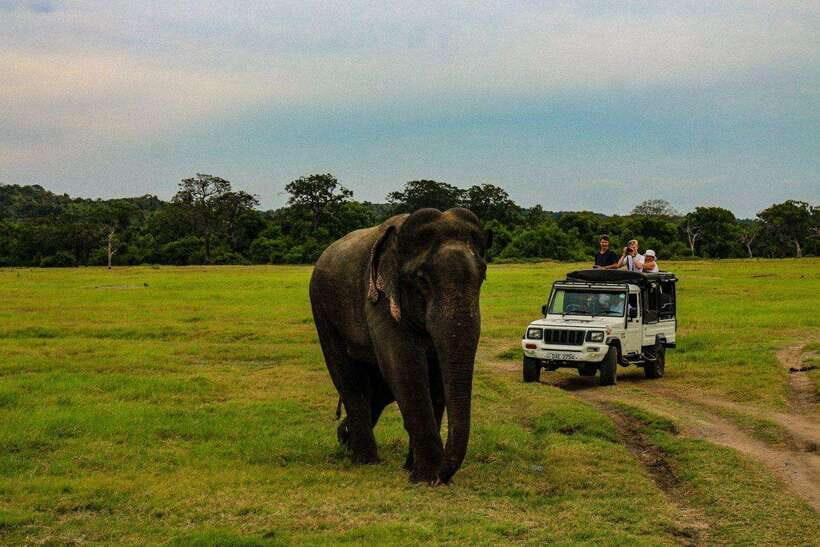 Sri Lanka: 4N5Day guided FULL TOUR with hotel accommodations - Key highlights you’ll actually feel