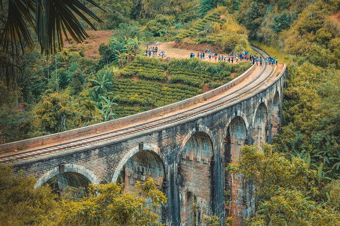 Sri Lanka 5 Day tour Best Nature and Culture include top hotels - Day 1: Sigiriya sunset hike plus Habarana’s cultural show