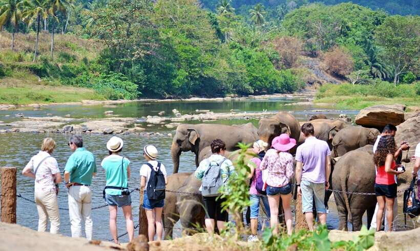 Sri Lanka: 7-Day Off-The-Beaten Path Private Tour - Ella’s Mini Adams Peak and Nine Arch Bridge: your “breathe here” day