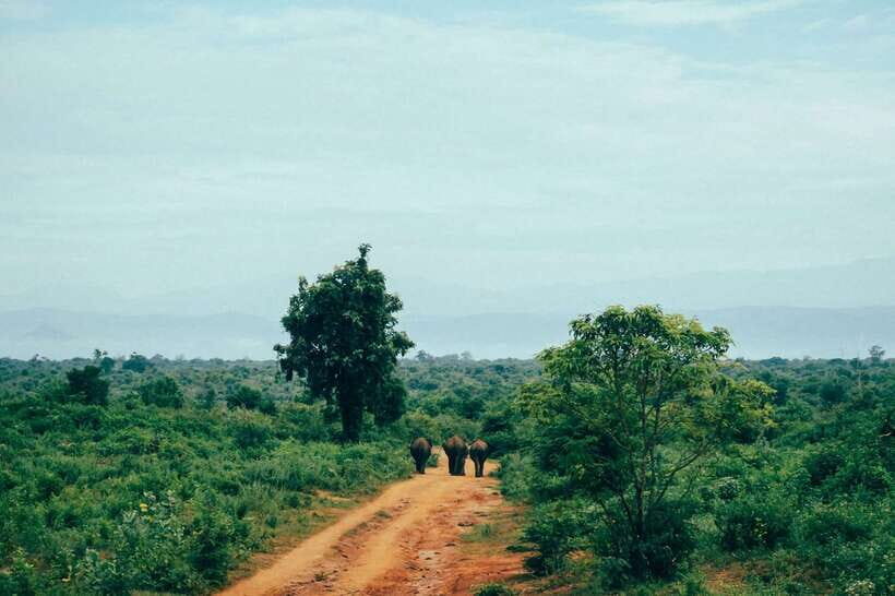 Sri Lanka: 7-Day Off-The-Beaten Path Private Tour - Price and value: what $899 covers, and what you should budget for