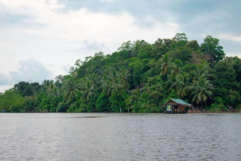 Sri Lanka Bentota: Private Mangrove Lagoon and River Cruise - Wildlife game plan: crocodiles, lizards, monkeys, and birds