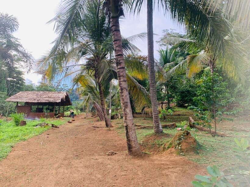 Sri Lanka: Ceylon Cinnamon Experience & Spice Garden Tour - The sensory challenge: training your nose, tongue, and fingers