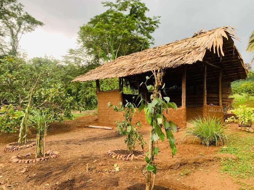 Sri Lanka: Ceylon Cinnamon Experience & Spice Garden Tour - The 3-hour flow: from cinnamon bark to your own cinnamon roll