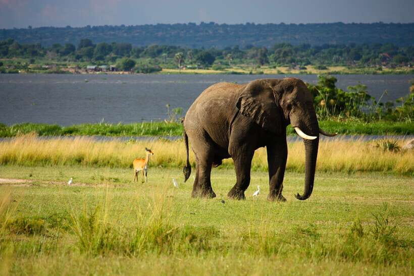 Sri Lanka Cultural Triangle Private 2-Day Tour+Wildlife Tour - Quick takeaways (the stuff that matters)