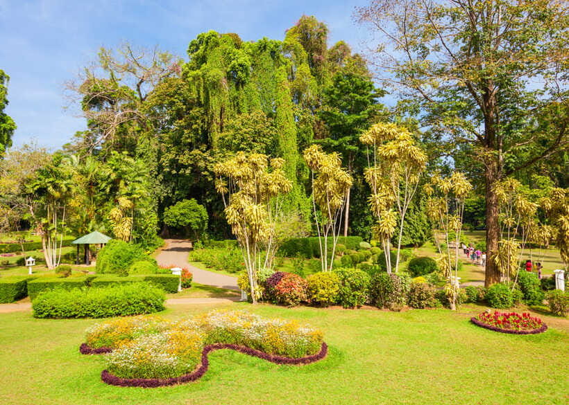 Sri Lanka Cultural Triangle Private 2-Day Tour+Wildlife Tour - Gem Museum stop: what it is and how to use it wisely