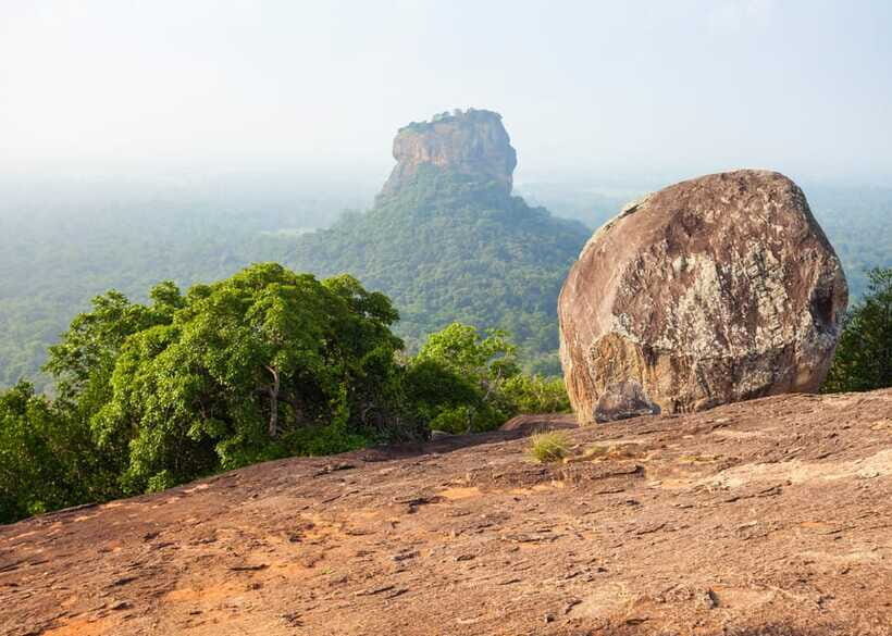 Sri Lanka Cultural Triangle Private 2-Day Tour+Wildlife Tour - Matale spice/herbal garden + tea factory: taste what Sri Lanka grows