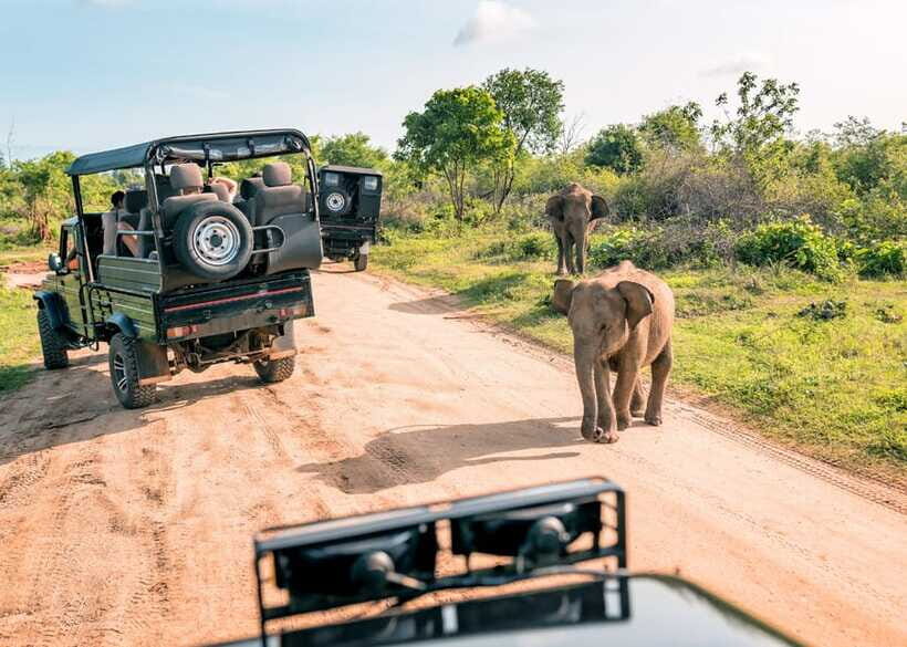 Sri Lanka Cultural Triangle Private 2-Day Tour+Wildlife Tour - Getting moving from the west coast: early starts and long roads