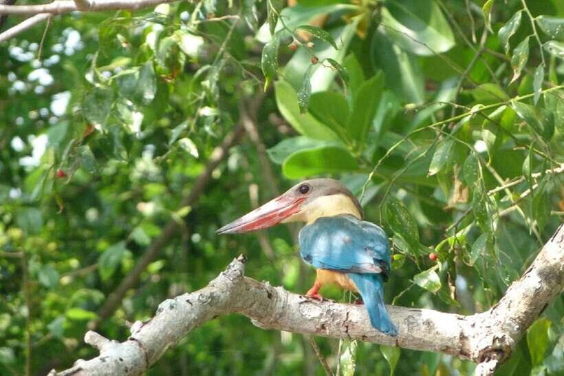 Sri Lanka Green Bless- 2-day Private Trip To Enjoy Nature - Entering Sri Lanka’s nature highlights, back-to-back