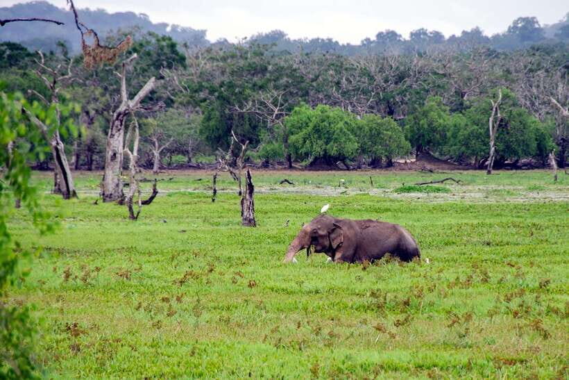 Sri Lanka Green Bless- 2-day Private Trip To Enjoy Nature - Southern coast stops and Galle Fort on foot
