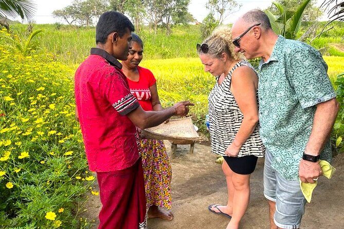 Sri Lanka in 06 Days - Day 1 in Negombo: beach walking, a fish market, and two classic temples