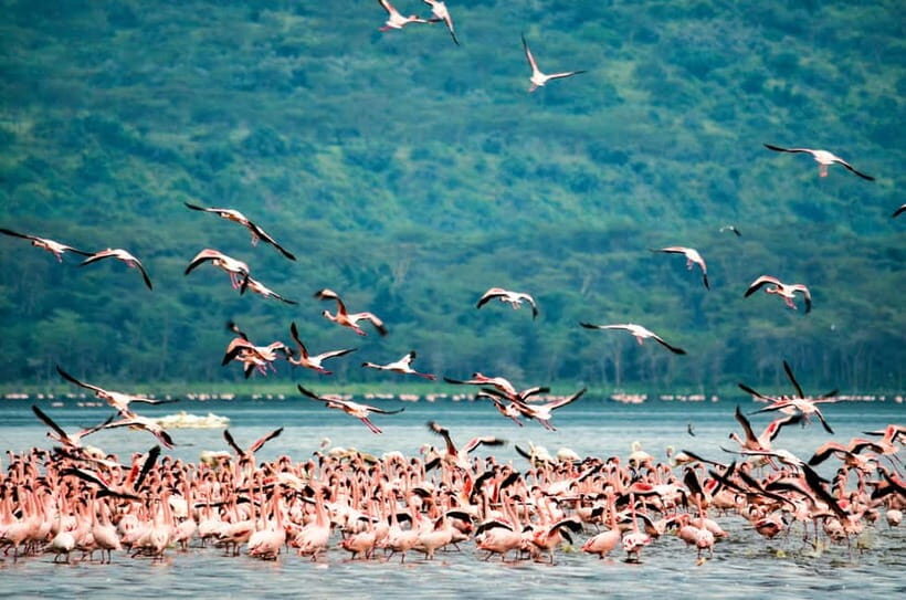 Sri Lanka Nature, culture, history and wildlife in 4 days - Should You Book This Sri Lanka 4-Day Nature, Culture, History, and Wildlife Tour?