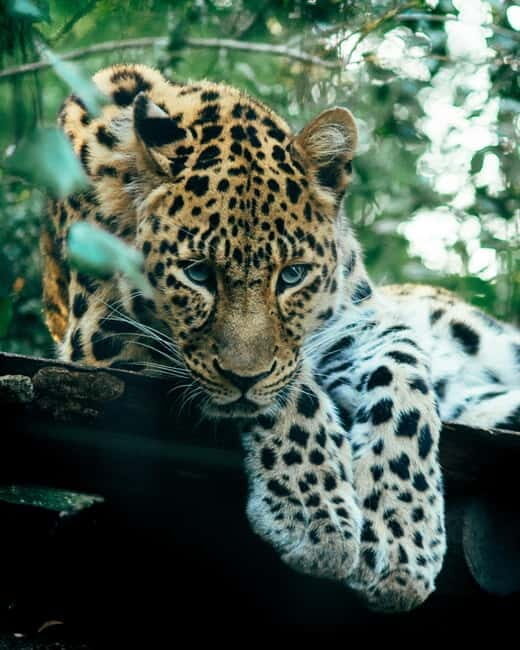 Sri Lanka Private 10-Day Round Tour Car, Guide, Hotels, Food - Why this private 10-day route feels like the best Sri Lanka sampler