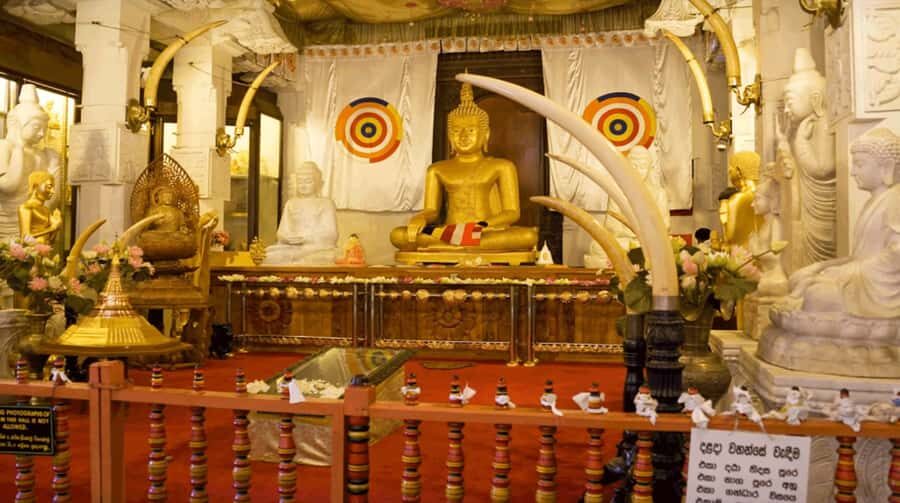 Sri Lanka Private 2-day Tour:Train Trip, Kandy, Nuwara Eliya - What This Tour Feels Like on the Ground